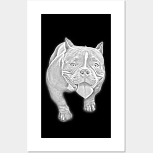 Pitbull Dog Sketch Art Posters and Art